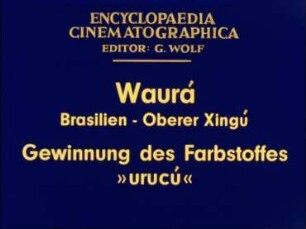 Waurá (Brasilien, Oberer Xingú) - Gewinnung des Farbstoffes »urucú«