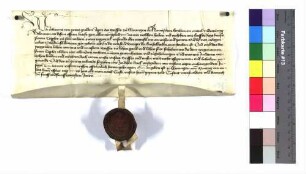 Lehenbrief Abt Johanns I. zu Ellwangen für Peter Töppler um zwei Tagwerk Wiesmahd und vier Morgen Acker [zu Ellwangen], das zu Künzel Kunzen Gut gehört