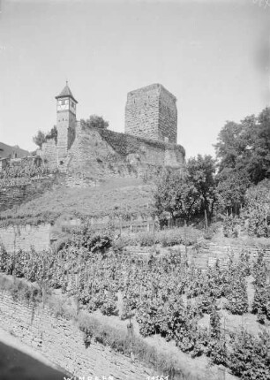 Kaiserpfalz