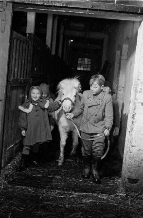 Landflucht. Kinder mit Pony