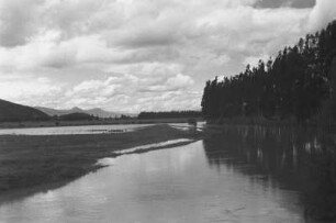 Überfluteter Wald (Lateinamerika-Aufenthalte 1934/1942 – 6. Kolumbien 1938-1942)