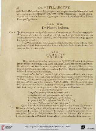 Cap. XX: De Plantis Pedum.
