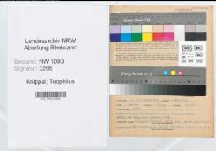 Entnazifizierung Teophilus Knippel, geb. 26.12.1908 (Prediger)