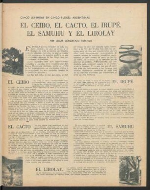 Cinco leyendas en cinco flores argentinas