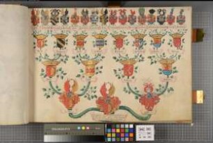Proband: Wrede, Ferdinand von; Vater: Wrede, [Stephan] von; Mutter: Rolshausen, [Wilhelmina Dorothea] von: Westfalen, Hzgtm, Ritterschaft