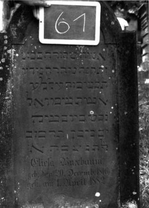 Grabstein 61 (Index: 100100995) Material: Sandstein Zustand: leicht abgeblättert Maße HxBxT: 121x64x12 cm Beschreibung: Stele, eingezogener Rundbogenabschluß: Grabstein 61A