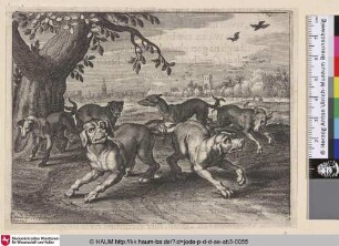 [Aneinandergebundene Hunde; Dogs Bound Together]
