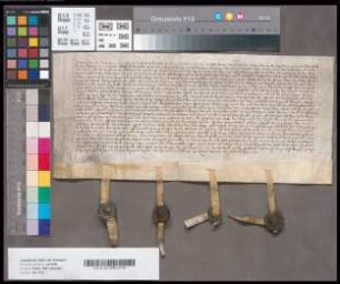 Revers Dietrichs von der Vitinghof gen. Vyling von Horl als Schultheiß des Oberhofes Viehof.