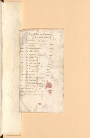 Opera et epistulae - BSB Clm 208