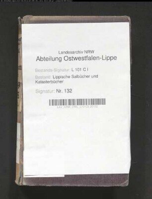 Salbuch der ehem. Vogtei Heiden von 1855, Bd. 1