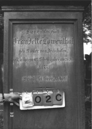 Grabstein 202 (Index: 99609838) Material: Sandstein Zustand: leicht verwittert Maße HxBxT: 240x64x35 cm Beschreibung: Stele, Abdeckplatte, Giebelaufsatz mit Mittel- und Seitenakroteren, Palmettenaufsatz, Schriftfeld eingetieft, Sockel Symbolik: Mohnkapseln, florale Elemente: Grabstein 202C