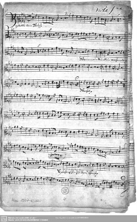 Viola 1ma