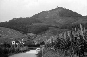 Neuweier: Blick vom Weinberg auf Ort und Yburg