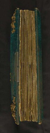 Familienalbum : Familienalbum. Samteinband mit Metallmontierungen, Goldschnitt; 28 x 22 x 6 cm (um 1890). Dresden: SLUB/DF 2017.C.79