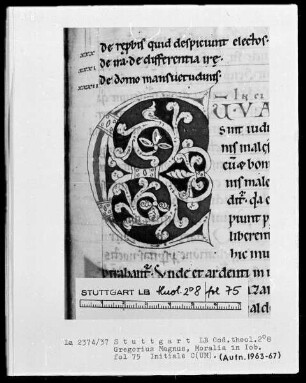 Gregorius Magnus, Moralia in Job — Initiale C(um), Folio 75recto