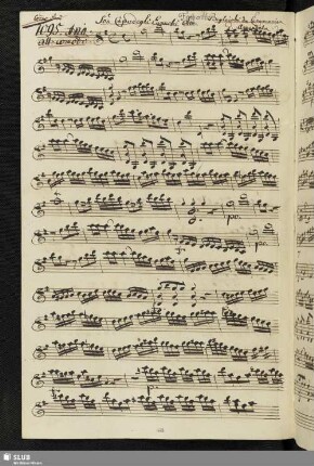 1095. Aria: Son Capo degli Eunuchi / Amendola, G.