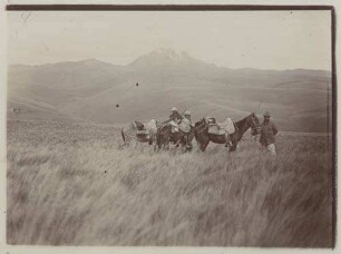 Paramo am Rumiñagui