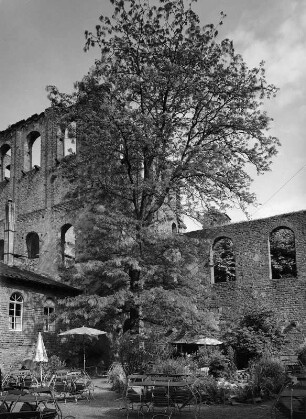 Limburg an der Haardt. Klosterruine Limburg an der Haardt (Ehemaliges Benediktinerkloster) (1025)