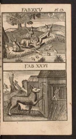Pl. 13. Fab. XXV. Fab. XXVI.