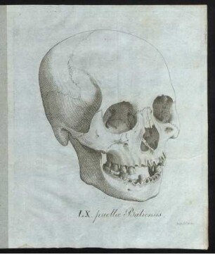 LX. puellae Baliensis