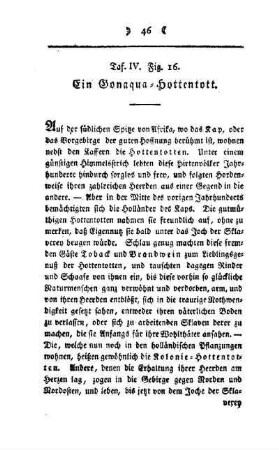 ¬Ein¬ Gonoqua-Hottentott : Taf. IV, Fig. 16