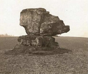 Sächsische Schweiz. Eulenstein (Sandstein, Verwitterungsrest) auf der Weißiger Ebenheit zwischen Thürmsdorf und Weißig