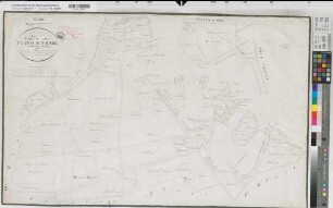 Coesfeld (Coesfeld), Teilung der Flamschen Mark, Reinkarte Bl.6