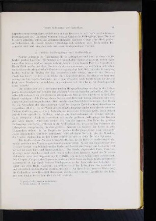 Größte Gallengänge und Gallenblase.