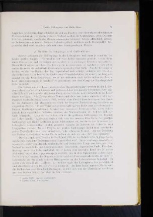 Größte Gallengänge und Gallenblase.