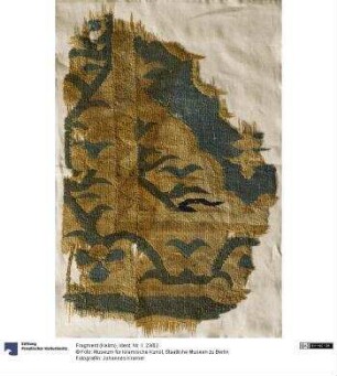 Fragment (Kelim)