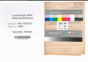 Entnazifizierung Wilhelm Schnitzler, geb. 05.06.1888 (Geschaeftsfuehrer)