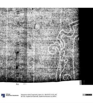 Wappenschild (Fragment)