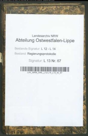 Regierungsprotokolle - Band 67