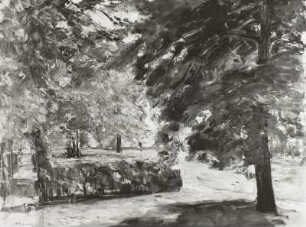 Parklandschaft
