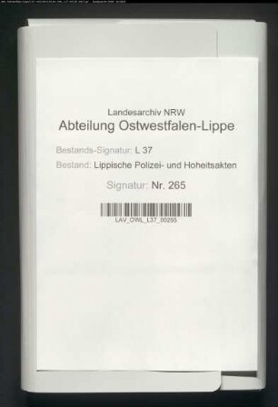 Hüttenwerk und Eisenhammer zu Heiligenkirchen und Berlebeck
