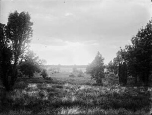 Lüneburger Heide : Blick über Felder in der Lüneburger Heide