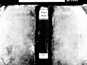 Lahr im Schwarzwald OG; Evangelische Gemeinde: Standesbuch 1815-1817