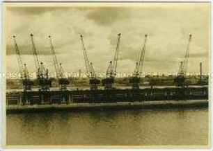 Sieben Kräne am Hafen