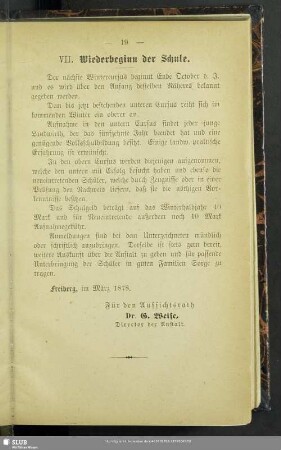 VII. Wiederbeginn der Schule
