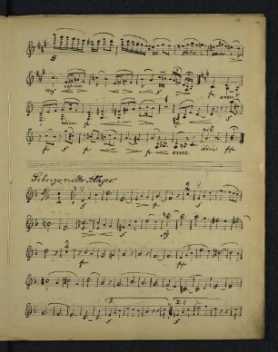 Scherzo, molto Allegro.
