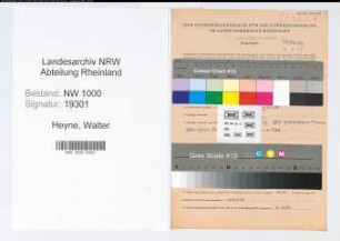 Entnazifizierung Walter Heyne, geb. 08.09.1908 (Verw.Beamter)