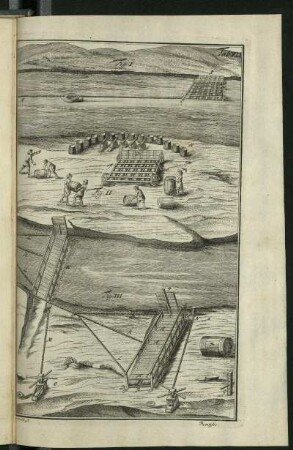 Tab. 41