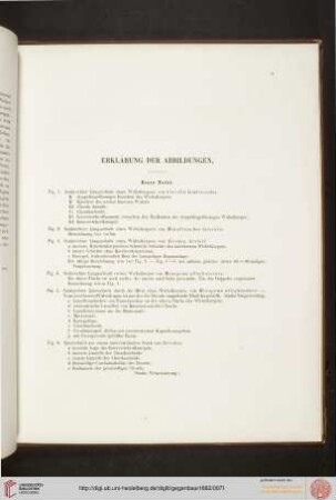 Erklärung der Abbildungen