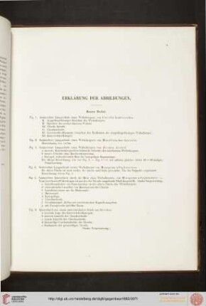 Erklärung der Abbildungen