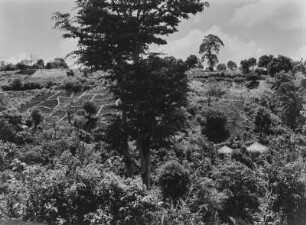 Landwirtschaftliche Anbaufläche : Landwirtschaftliche Anbauflächen