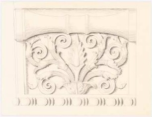 Pflanzliche Ornamente: Ansicht
