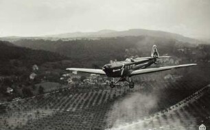 Sportflugzeug Klemm L-25 der SA-Fliegersturm-Staffel über rechtselbischen Plantagen bei Hosterwitz (mit Reklame der Sturm-Zigarettenfabrik Arthur Dreßler Dresden)