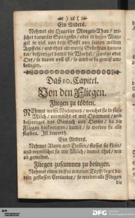 Das 10. Capitel. Von den Fliegen.