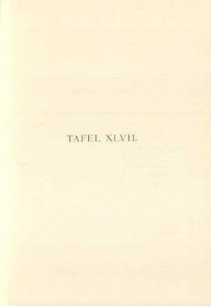 Tafel XLVII.