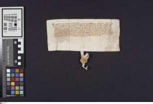 Wimpfen: Engelhard v. Weinsberg überläßt (han gelassen) dem Konvent des Dominikanerordens zu Wimpfen das Geld von der Neckarmühle, die zwischen Berg und Tal zu Wimpfen liegt.